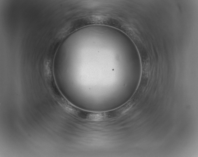 X0000073530131200608141036