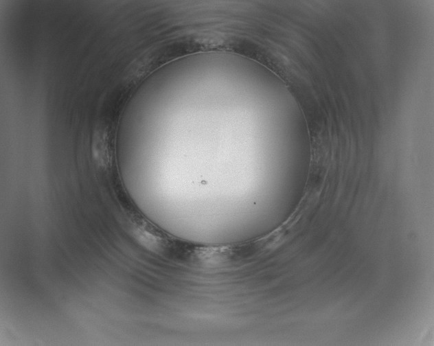 X0000073530136200608141036