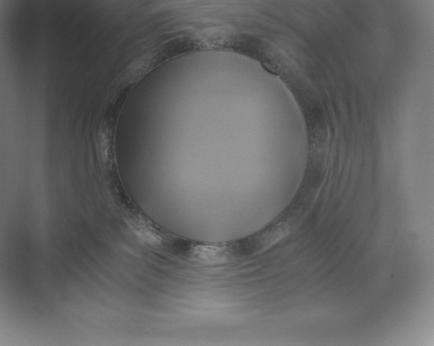 X0000073530139200608141036
