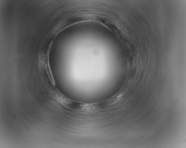 X0000073530141200608141036