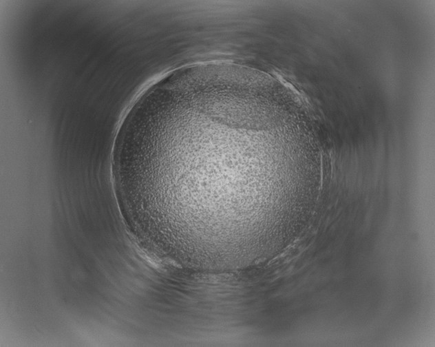 X0000073530147200608141035