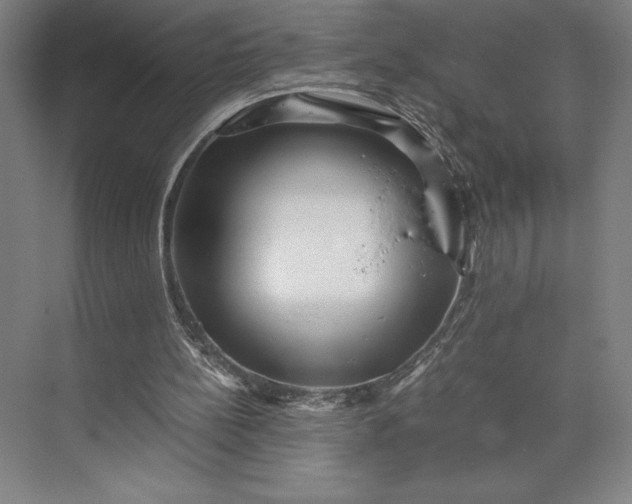 X0000073530148200608141035