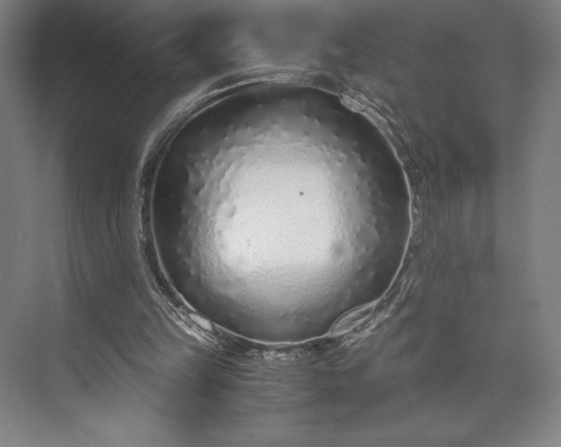 X0000073530149200608141035