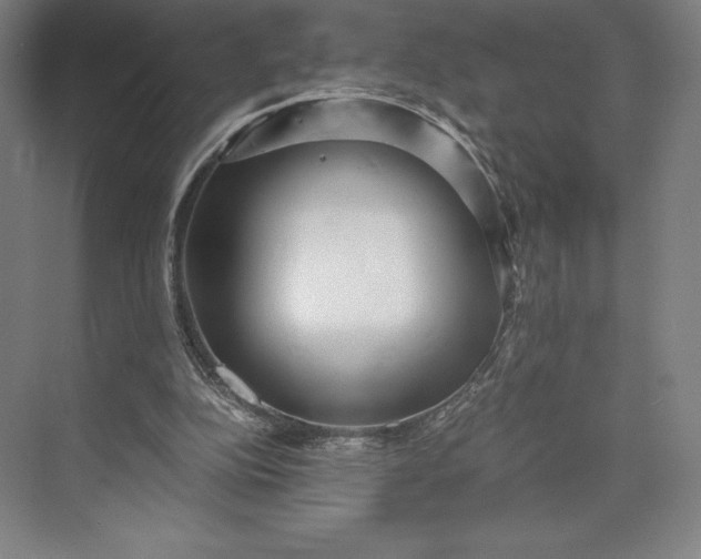 X0000073530152200608141035