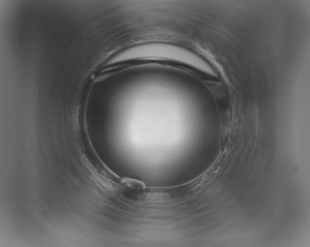 X0000073530154200608141035