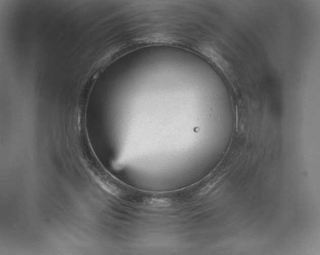 X0000073530157200608141035