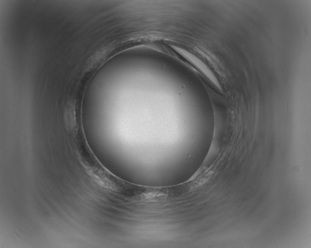 X0000073530158200608141035