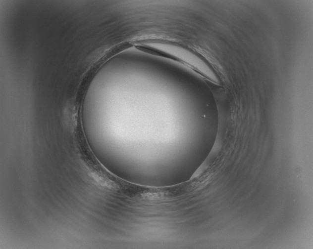 X0000073530160200608141035