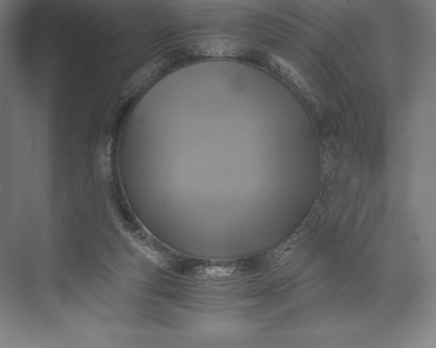 X0000073530163200608141035