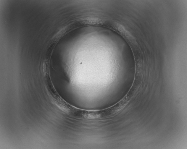 X0000073530165200608141035