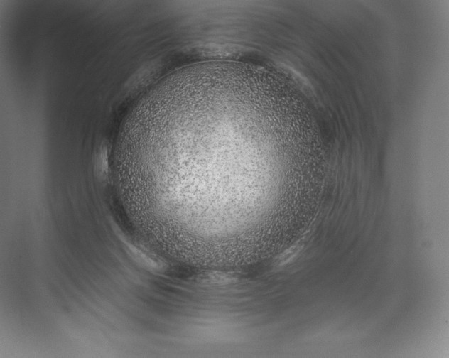 X0000073530166200608141035