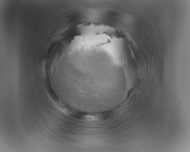 X0000073530167200608141035