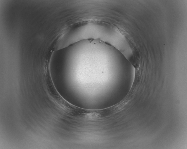 X0000073530168200608141035