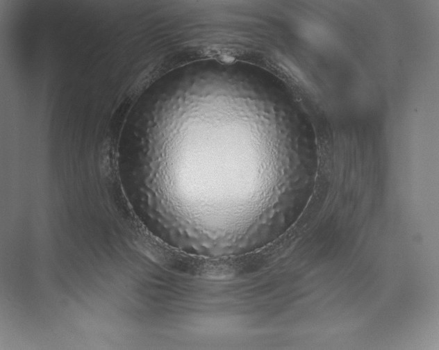 X0000073530169200608141035