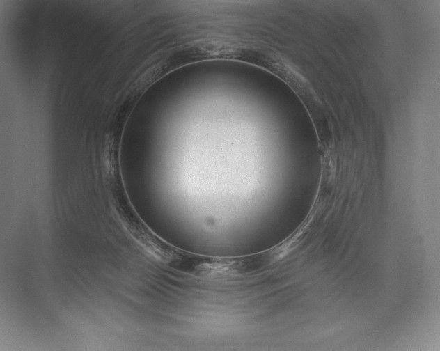 X0000073530170200608141035