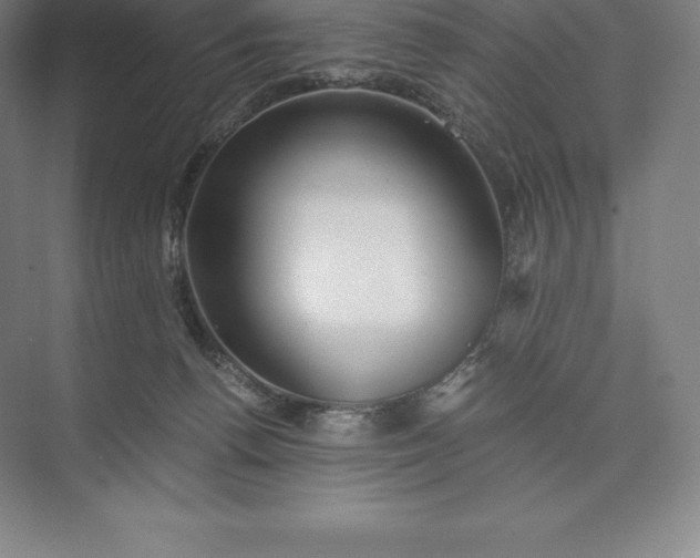 X0000073530176200608141036