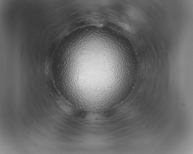 X0000073530177200608141036