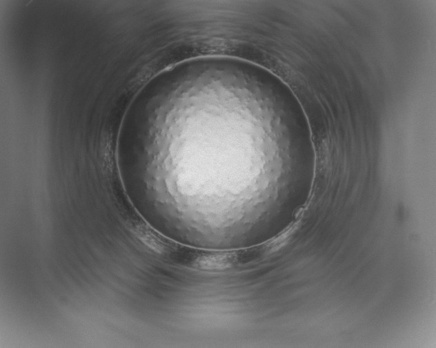 X0000073530178200608141036