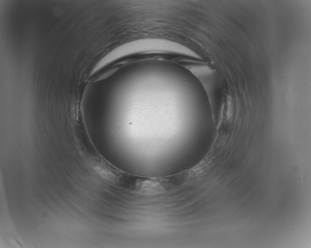 X0000073530180200608141036