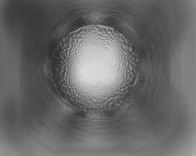 X0000073530181200608141036