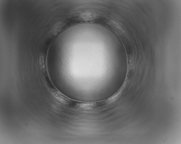 X0000073530182200608141036