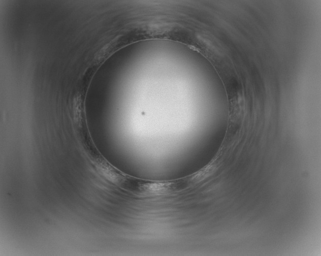 X0000073530184200608141036