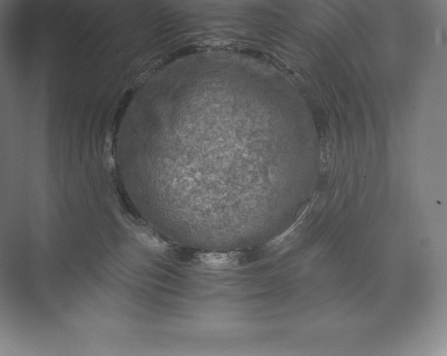X0000073530187200608141036