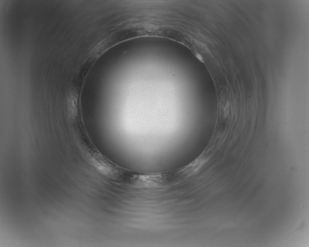 X0000073530188200608141036
