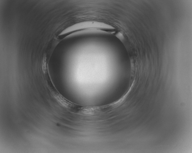 X0000073530190200608141036