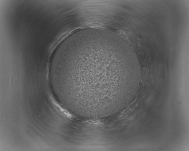 X0000073530194200608141035