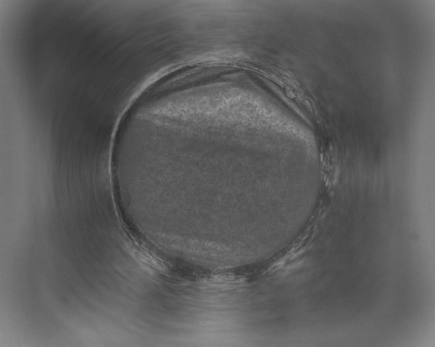 X0000073530196200608141035