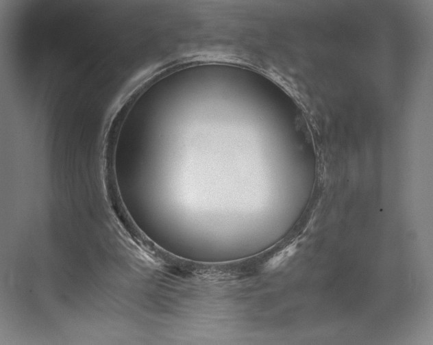 X0000073530199200608141035