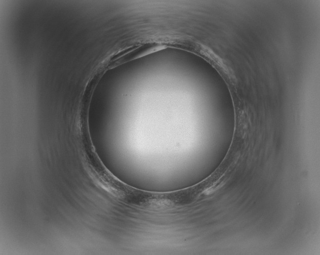 X0000073530203200608141035