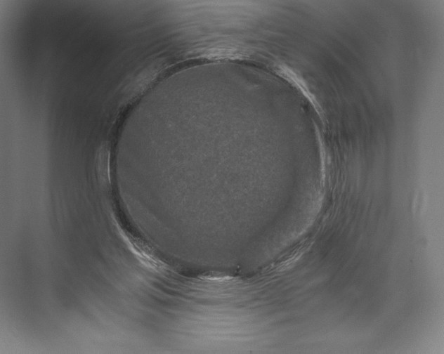 X0000073530205200608141035