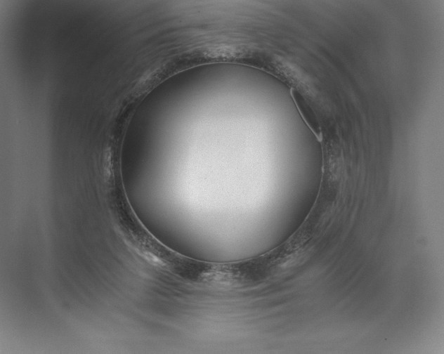 X0000073530211200608141035