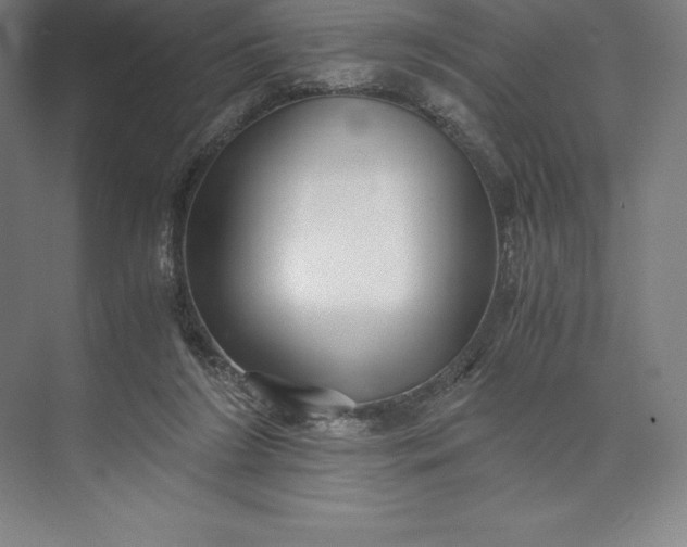 X0000073530212200608141035