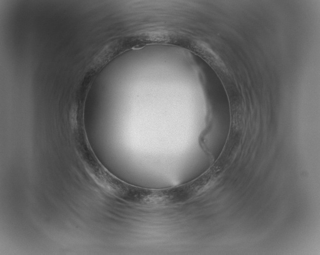 X0000073530213200608141035
