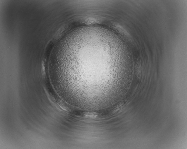 X0000073530214200608141035