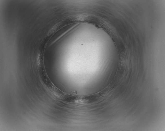 X0000073530216200608141035