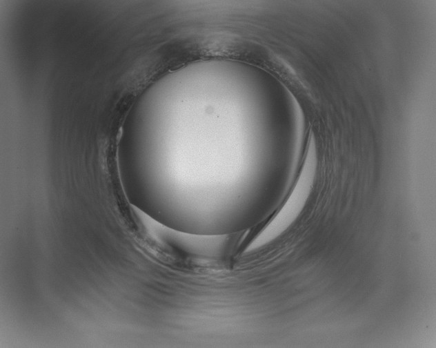 X0000073530217200608141035