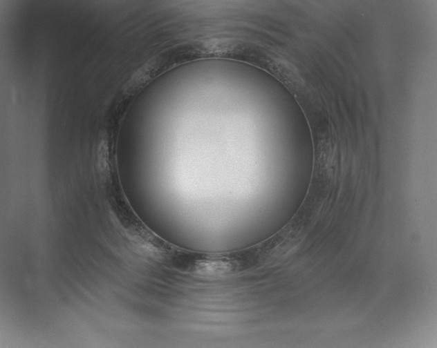 X0000073530220200608141035
