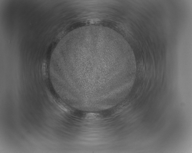 X0000073530222200608141035