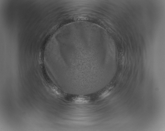 X0000073530224200608141034