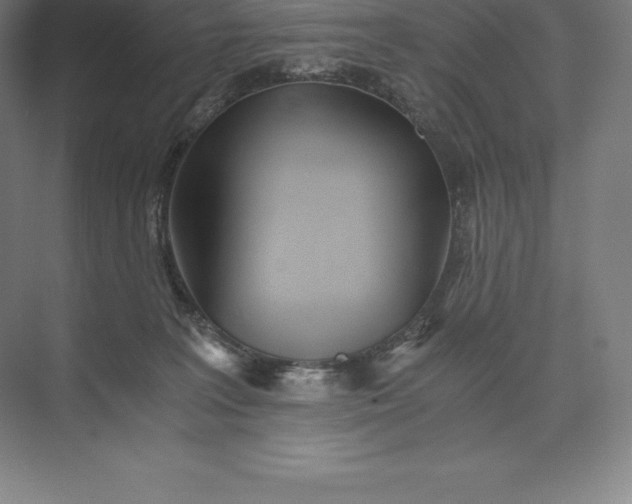 X0000073530227200608141034