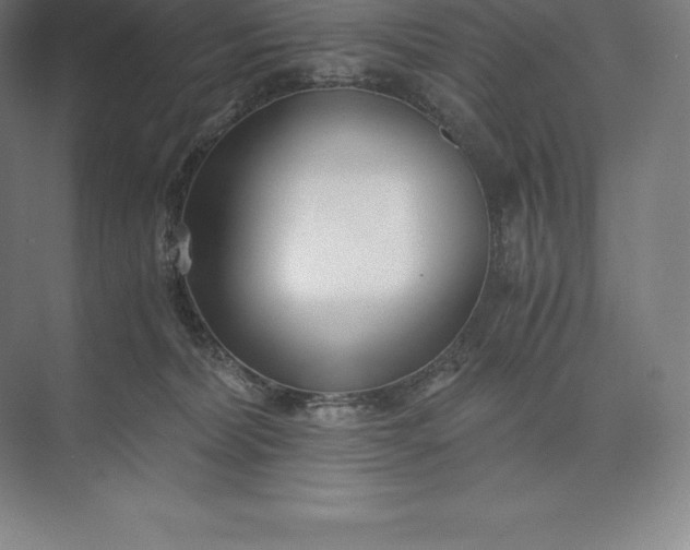 X0000073530228200608141034