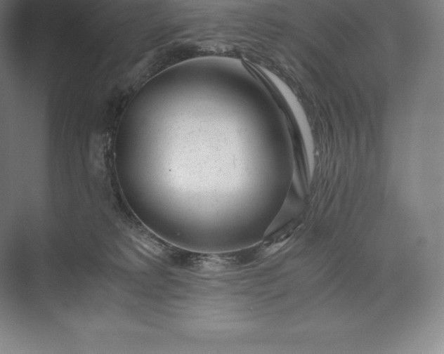 X0000073530229200608141034