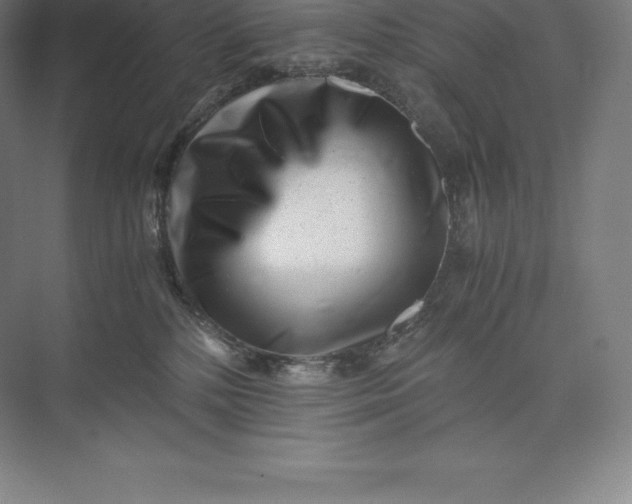 X0000073530232200608141034