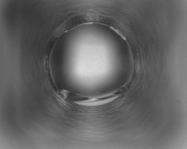 X0000073530233200608141034