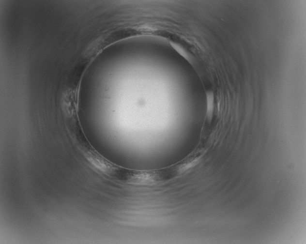 X0000073530237200608141034