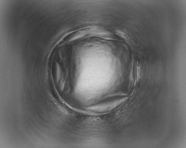 X0000073530243200608141033